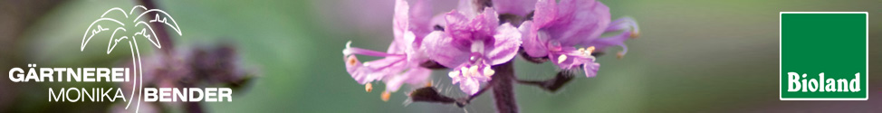 Gärtnerei Monika Bender Gärtnerei Monika Bender